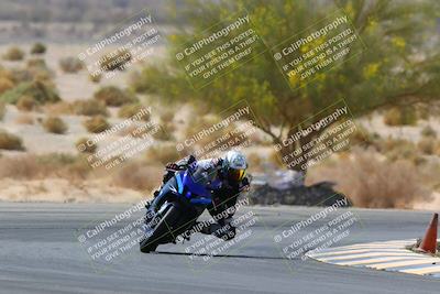 media/Apr-10-2022-SoCal Trackdays (Sun) [[f104b12566]]/Turn 5 Tree of Life (1040am)/